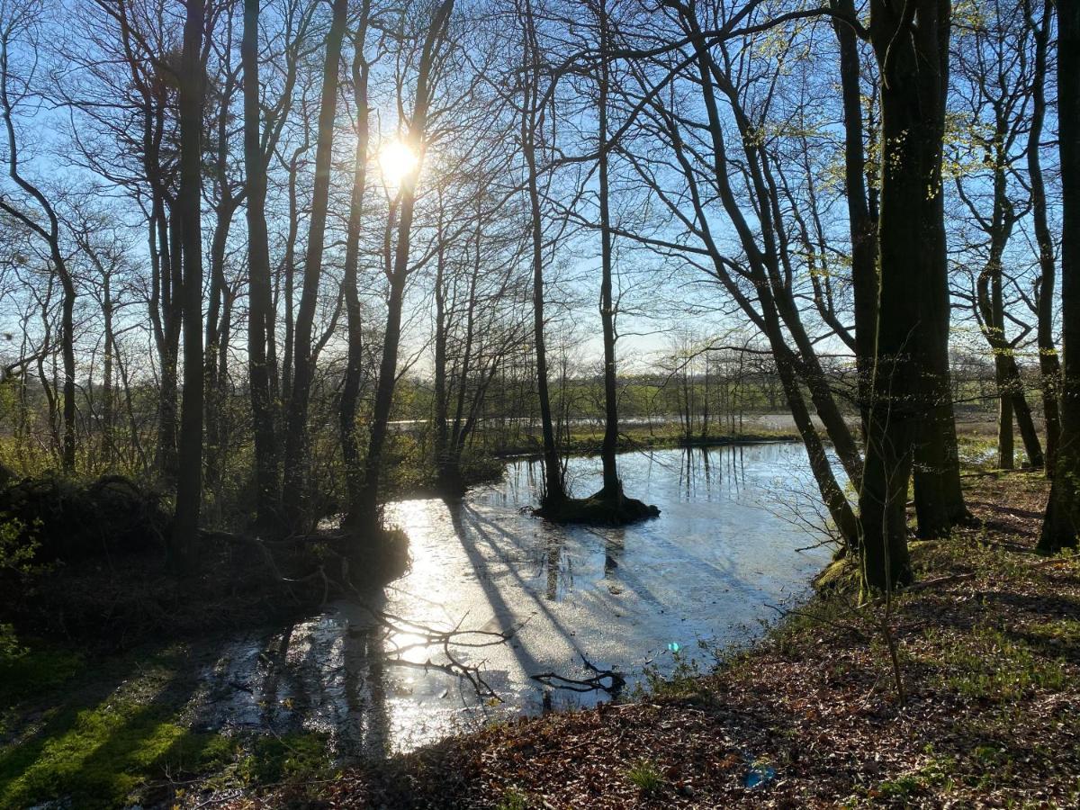 Nyopfort Luksusvaerelse I Naturskonne Og Rolige Omgivelser Branderup Exterior photo